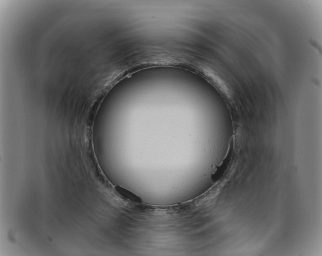 X0000098200305200804241045