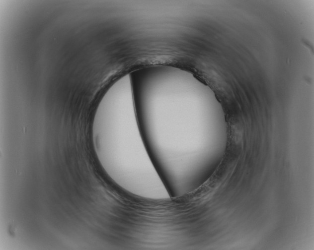X0000098200308200804241045