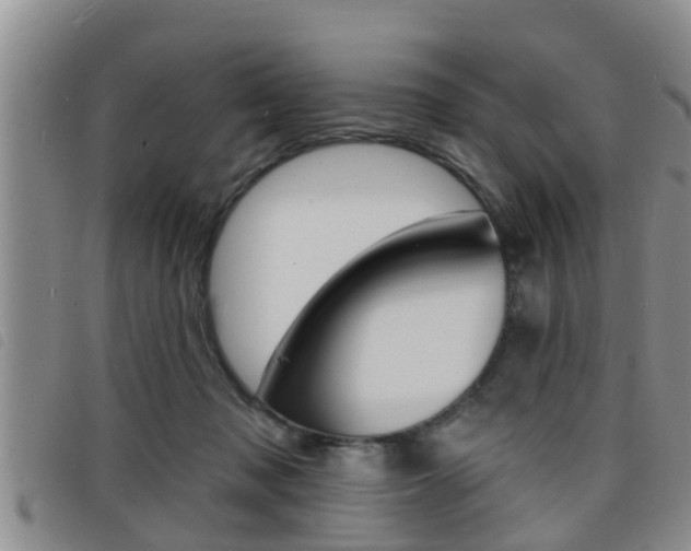 X0000098200317200804241045