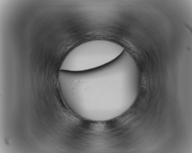 X0000098200318200804241044