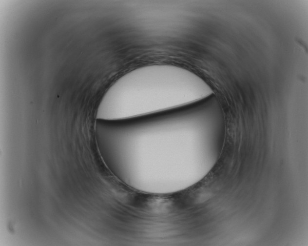 X0000098200319200804241044