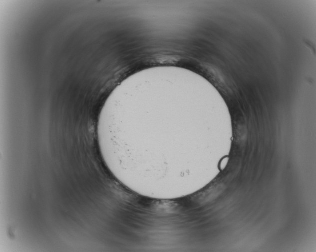 X0000098200321200804241044
