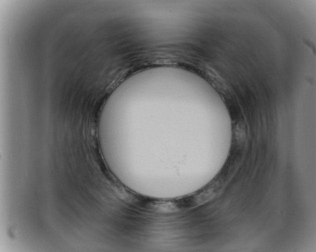 X0000098200322200804241044