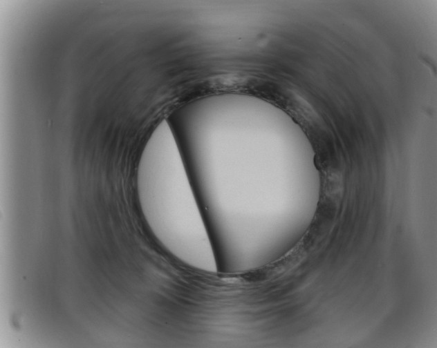 X0000098200324200804241044