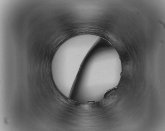 X0000098200325200804241044
