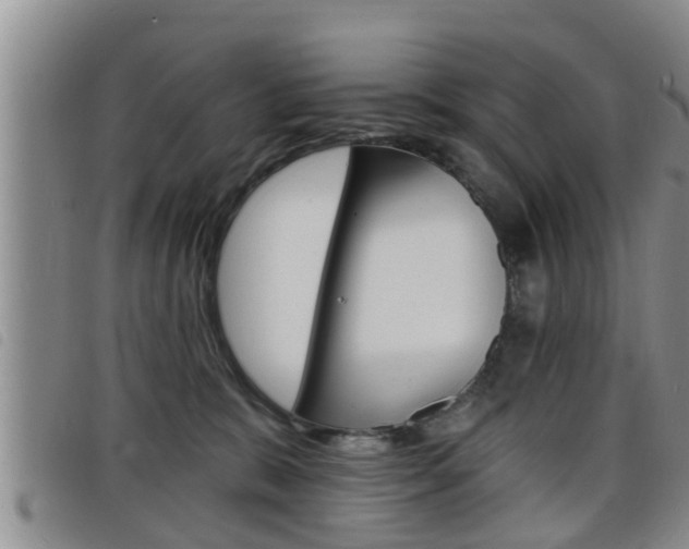 X0000098200327200804241044