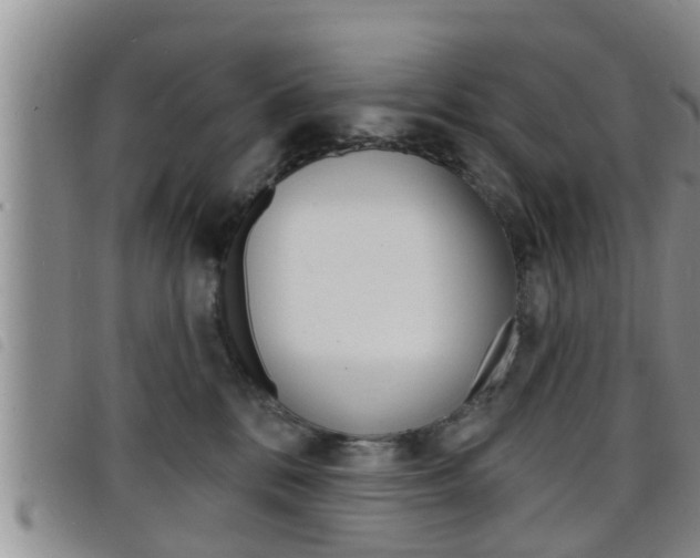X0000098200328200804241044