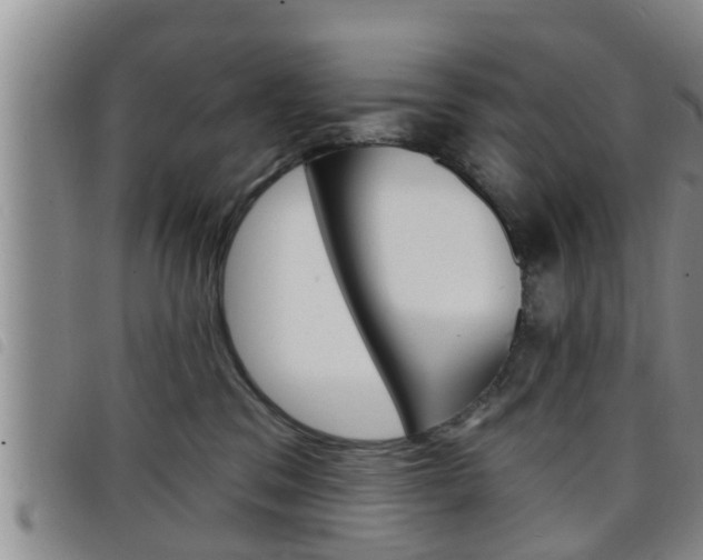 X0000098200329200804241044