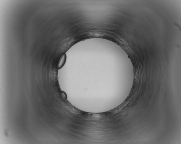 X0000098200330200804241044
