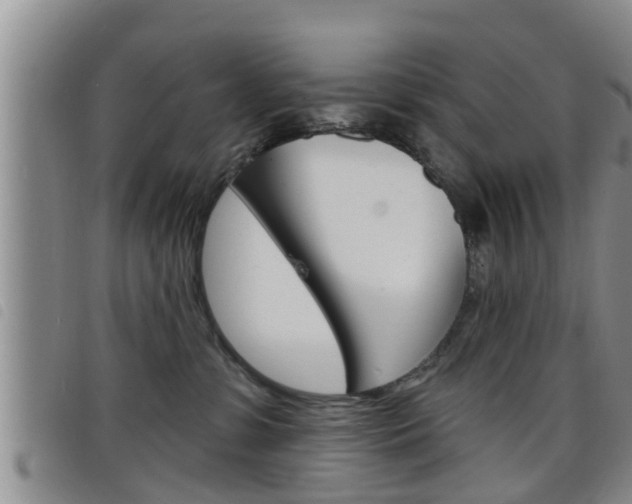 X0000098200331200804241044