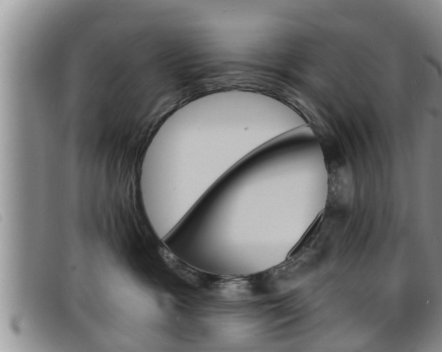 X0000098200333200804241044