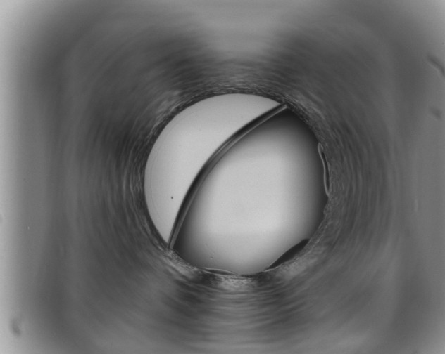 X0000098200336200804241044