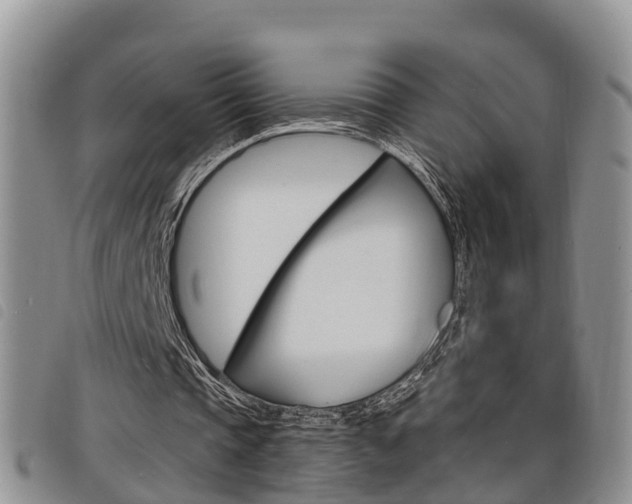 X0000098200337200804241044