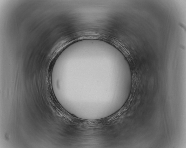 X0000098200338200804241044