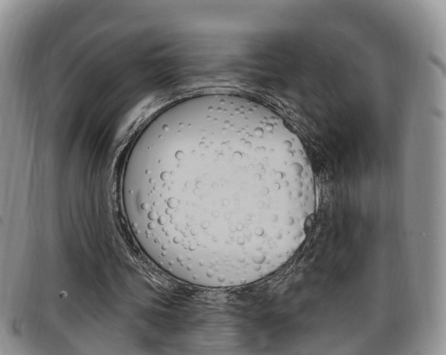 X0000098200339200804241044
