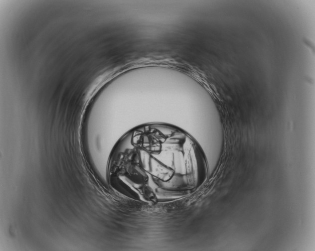 X0000098200340200804241044