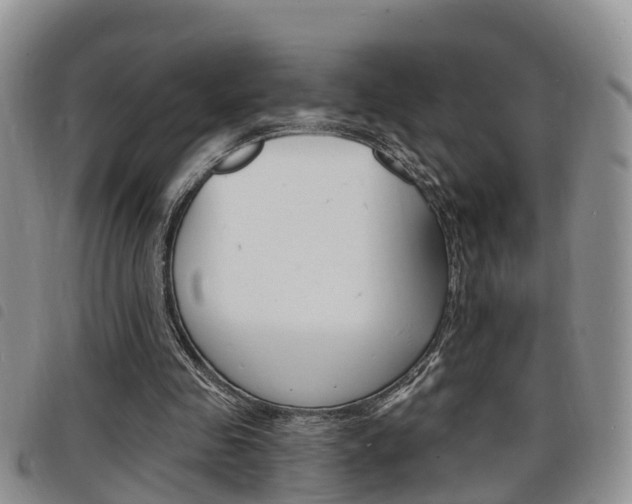 X0000098200341200804241044