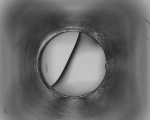 X0000098200342200804241044