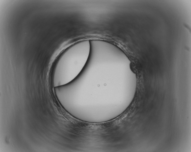 X0000098200343200804241044