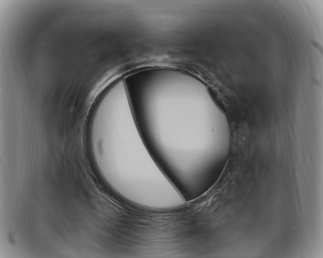 X0000098200344200804241044