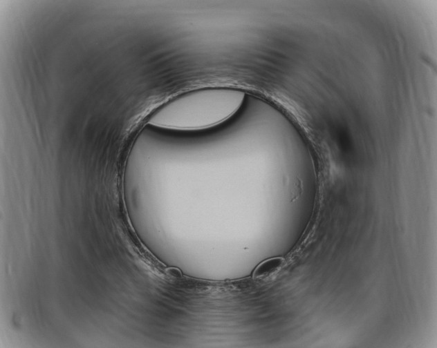 X0000098200345200804241044