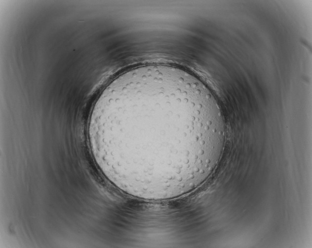 X0000098200347200804241044