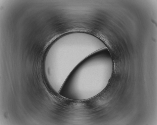 X0000098200348200804241044