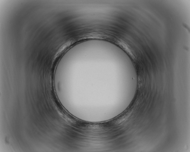 X0000098200349200804241044