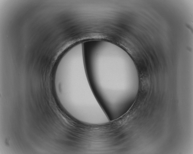 X0000098200350200804241044