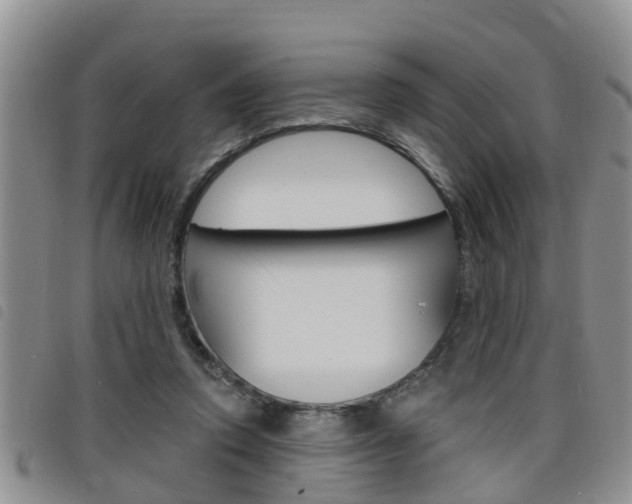 X0000098200354200804241044
