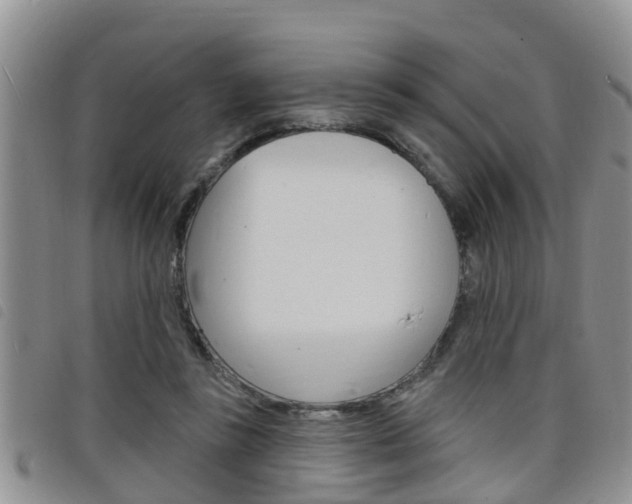 X0000098200355200804241044