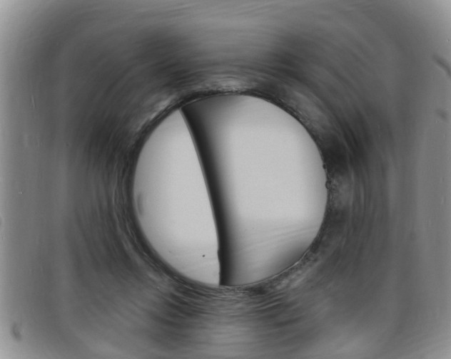 X0000098200358200804241044