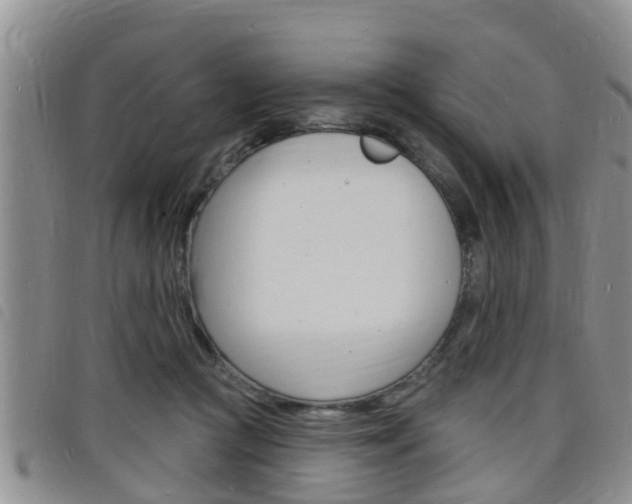 X0000098200361200804241044