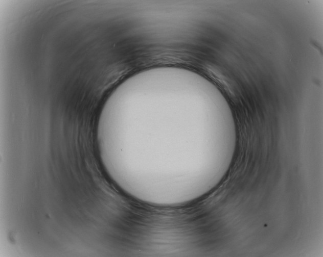 X0000098200362200804241044