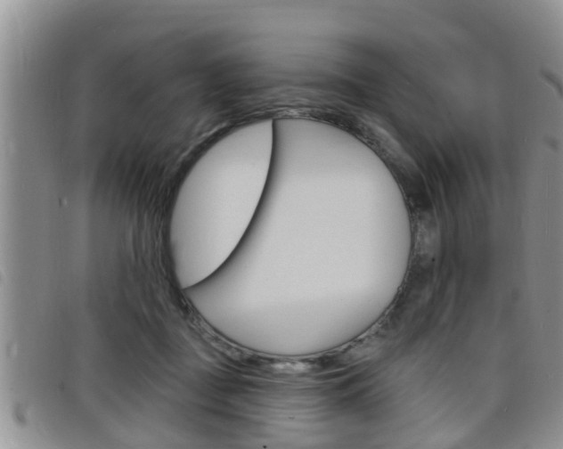 X0000098200363200804241044