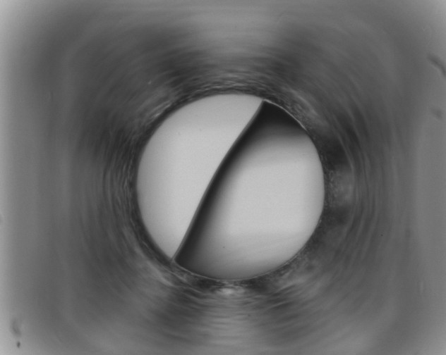 X0000098200364200804241044