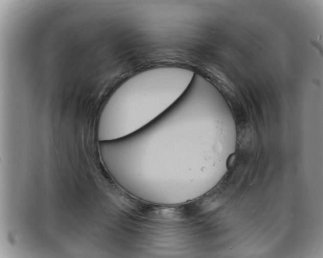 X0000098200365200804241044