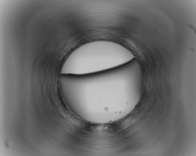 X0000098200366200804241044