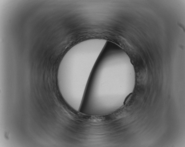 X0000098200368200804241044