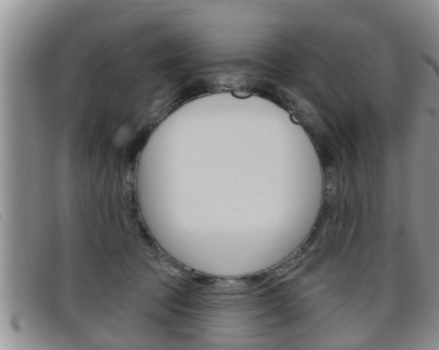 X0000098200369200804241044
