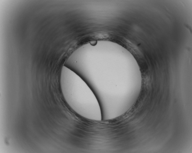 X0000098200373200804241044
