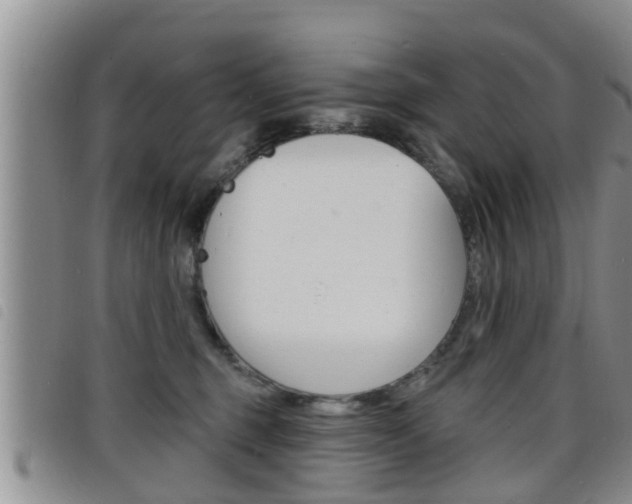 X0000098200375200804241044