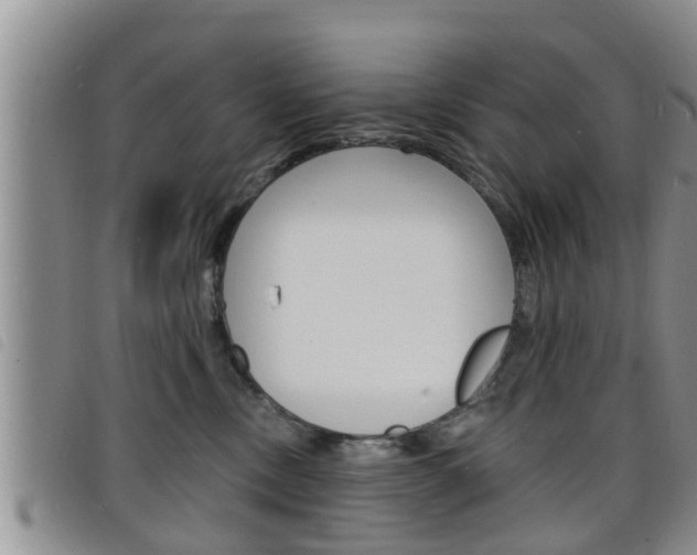 X0000098200378200804241044