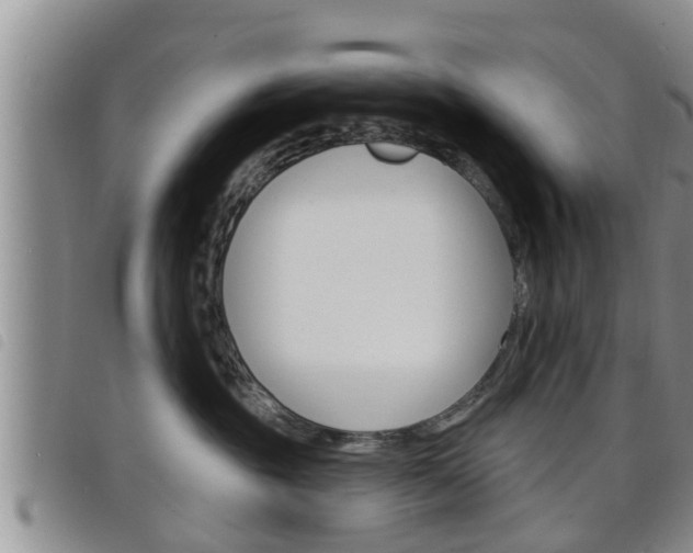 X0000098200381200804241044