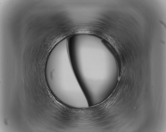 X0000098200385200804241044