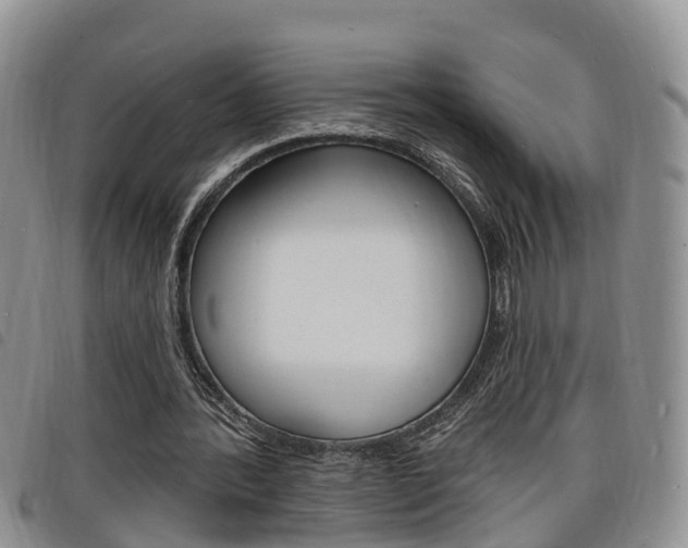X0000098200388200804241044