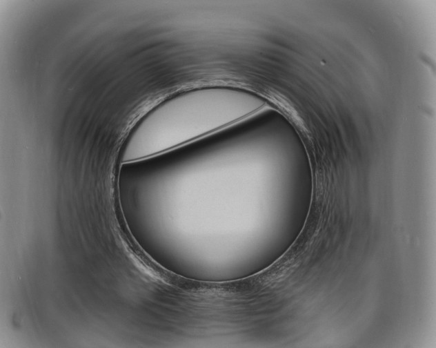 X0000098200389200804241043