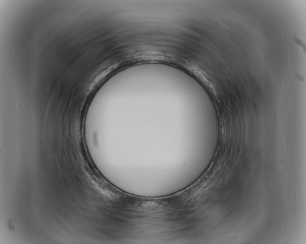 X0000098200390200804241043