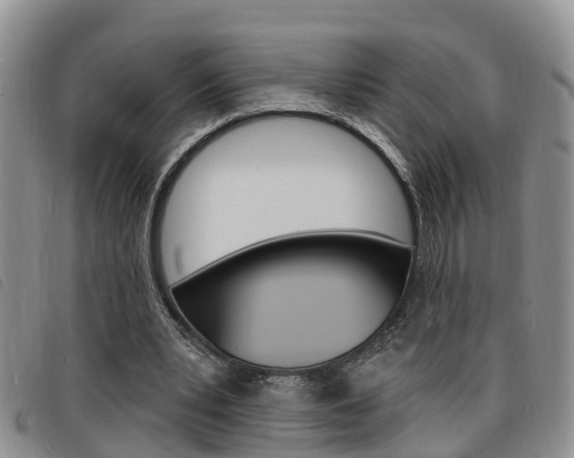 X0000098200391200804241043