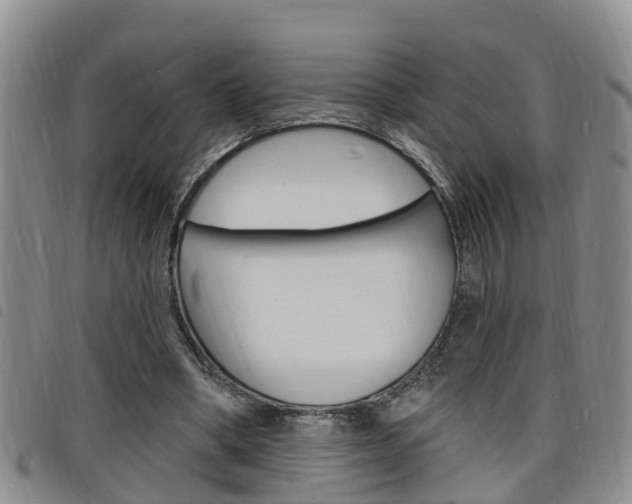 X0000098200394200804241043